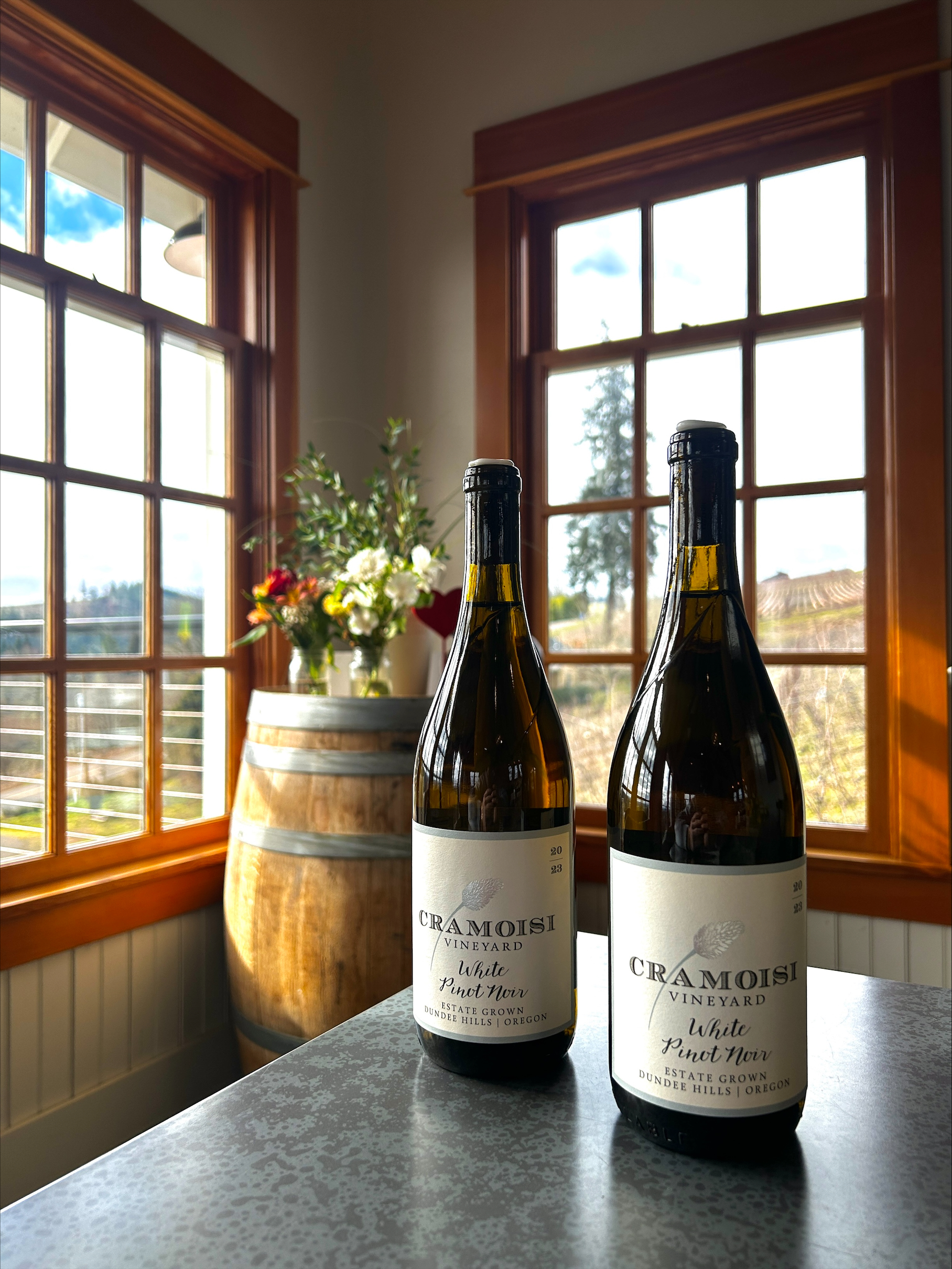 processed-F7B06E1C-FBF5-480E-A1B5-5C4C7D549C42 (1)